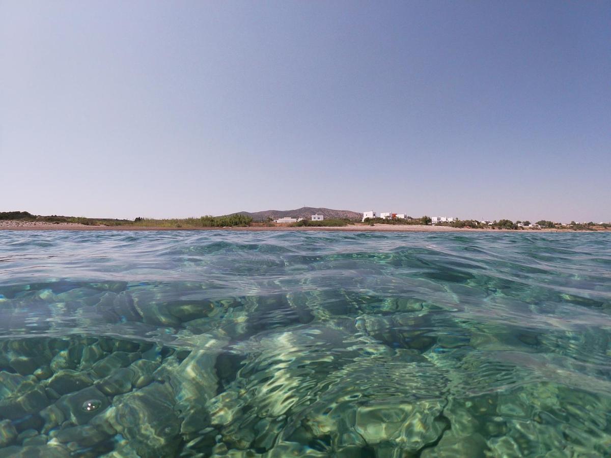 Seashore Beachfront Villa Лахания Екстериор снимка